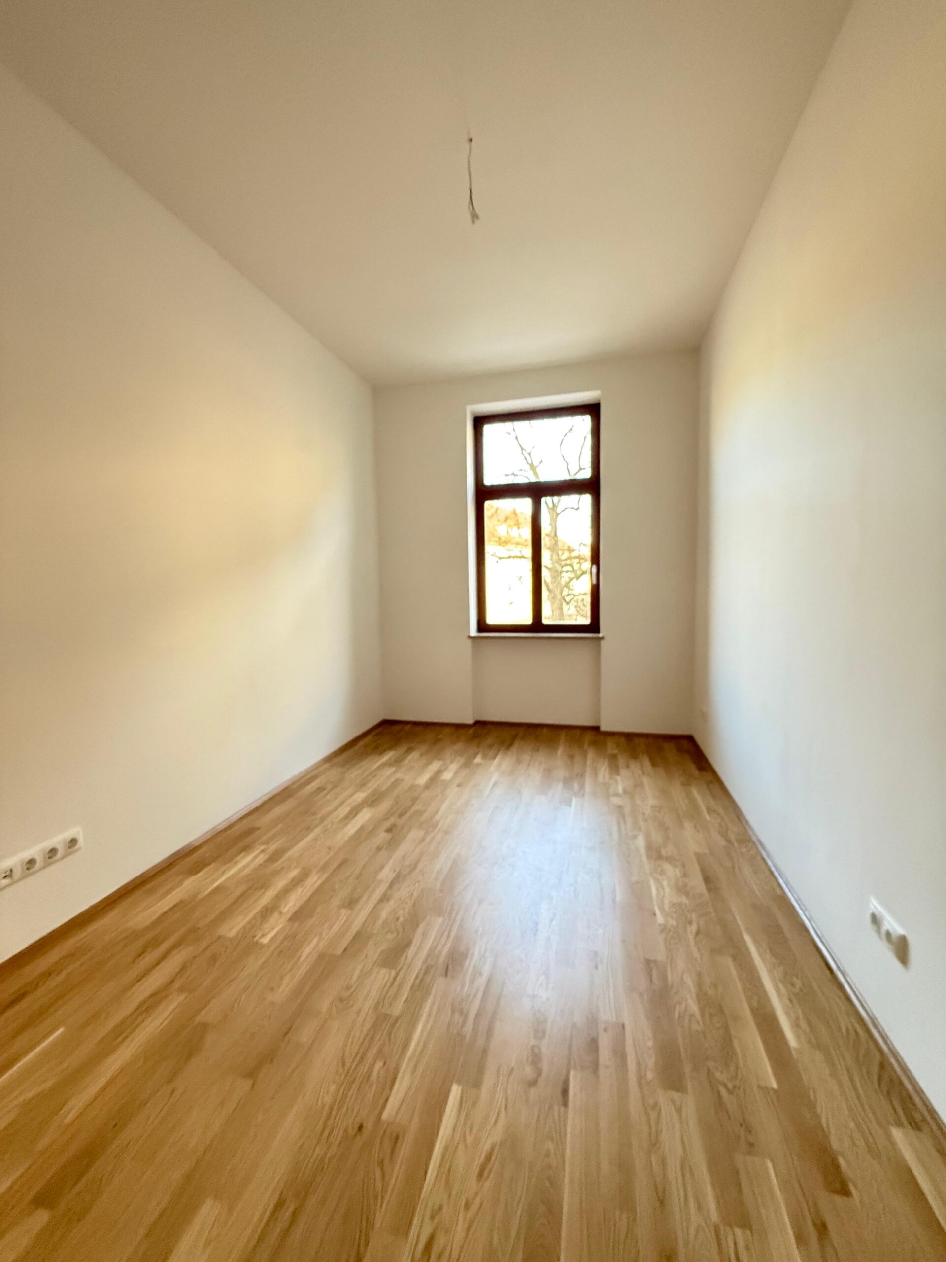 Zimmer REW